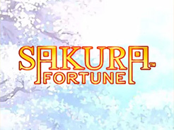 Sakura Fortune